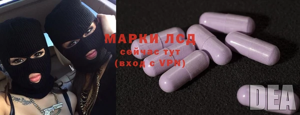 спайс Няндома