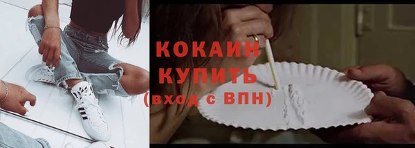 спайс Няндома