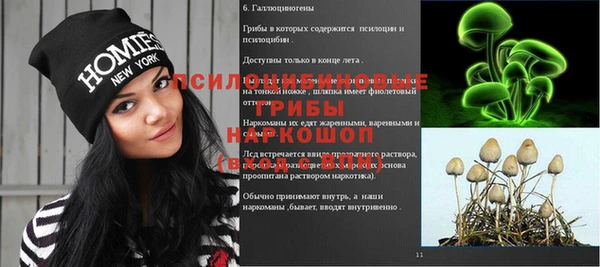 спайс Няндома