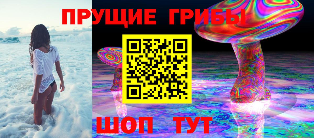 Партизанск  где купить наркотик  Вход с VPN  Псилоцибиновые грибы GOLDEN TEACHER 